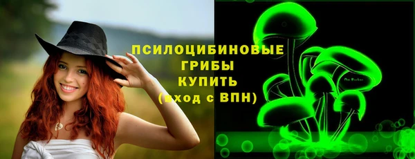 трава Армянск