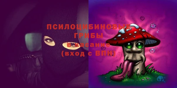 трава Армянск