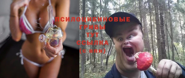 трава Армянск