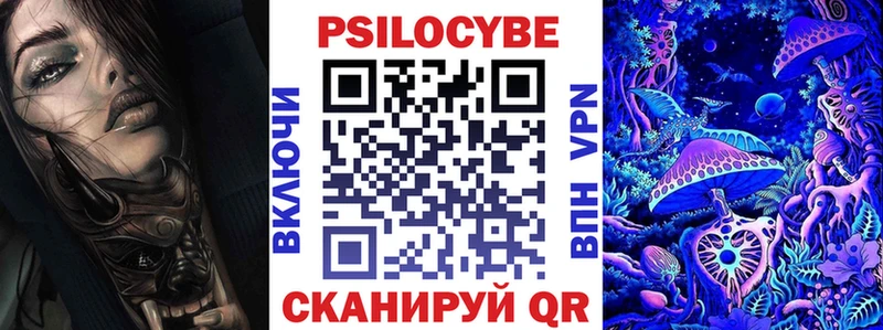 Купить где  Ермолино  Псилоцибиновые грибы Psilocybe 